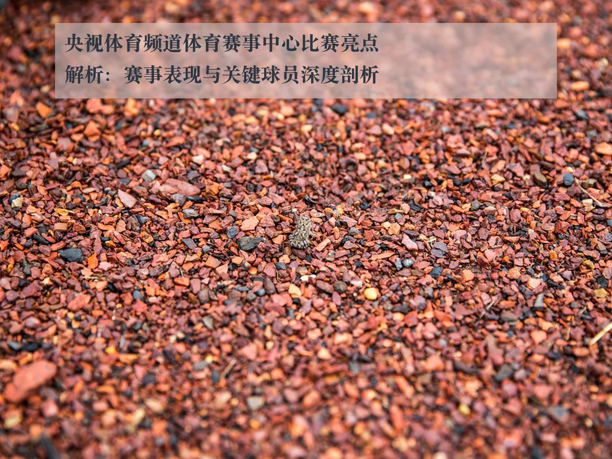 央视体育频道体育赛事中心比赛亮点解析:赛事表现与关键球员深度剖析