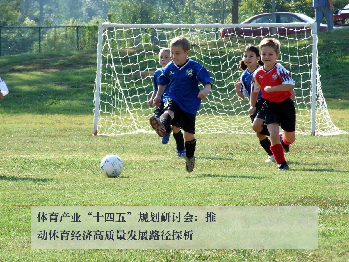 体育产业“十四五”规划研讨会：推动体育经济高质量发展路径探析